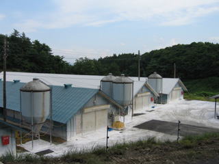 桜井農場