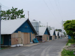 和田農場