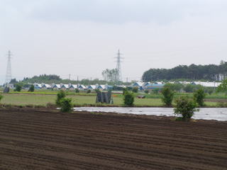 和田農場
